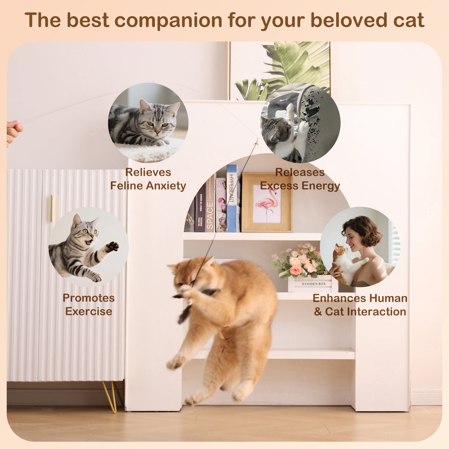 Spinning Cat Wand Toy (String Version)