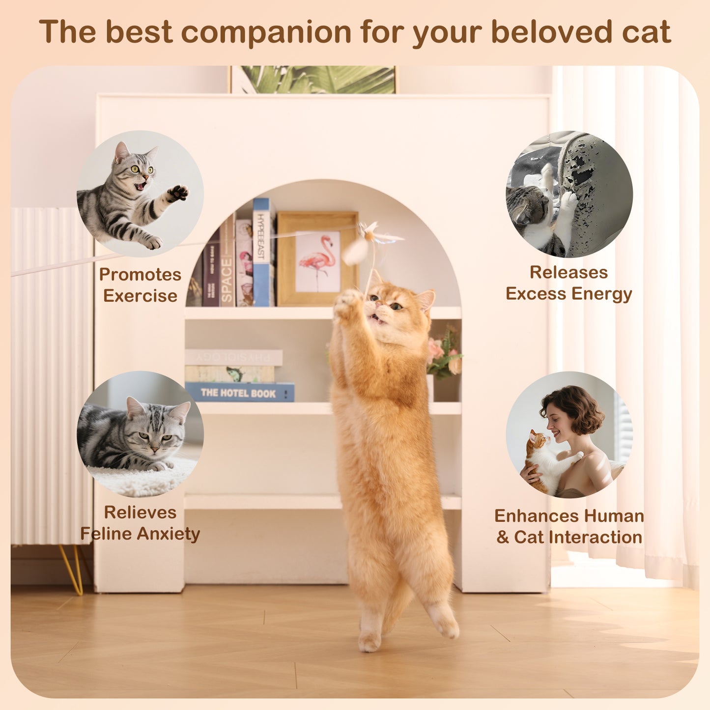 MewraThetify Spinning Cat Wand Toy- No String Version